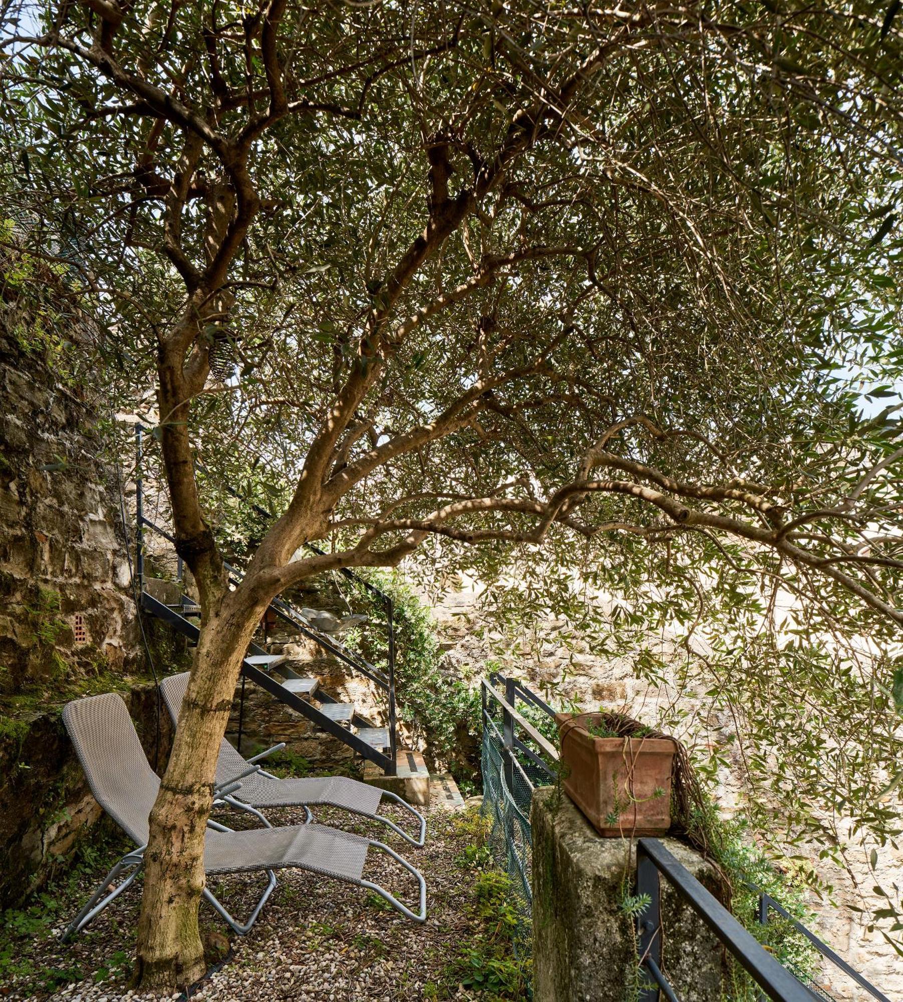 Giardino Segreto, In Centro Apartment Trieste Luaran gambar